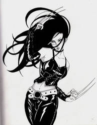 X-23