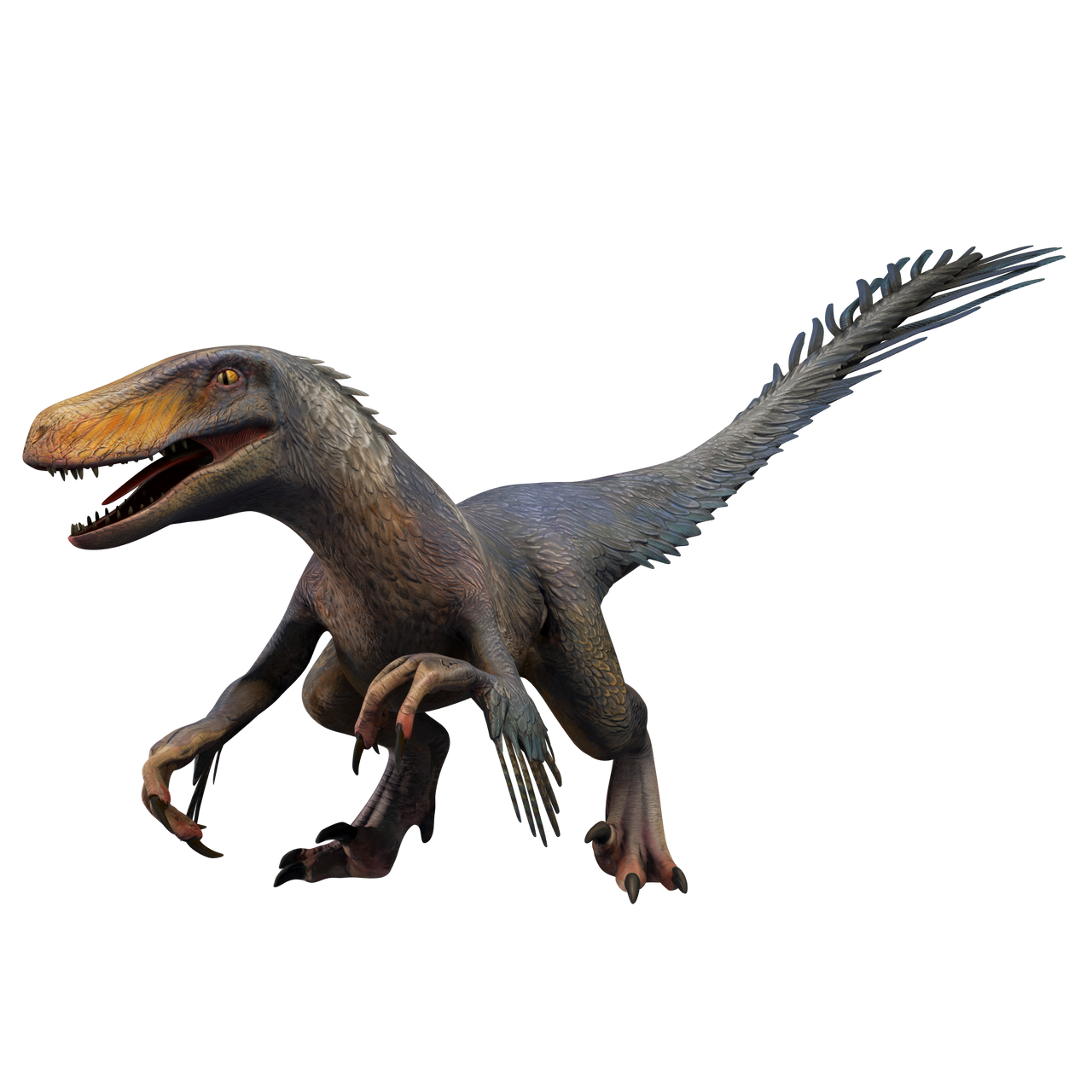 Utahraptor transparent by TransparentDinosaurs on DeviantArt
