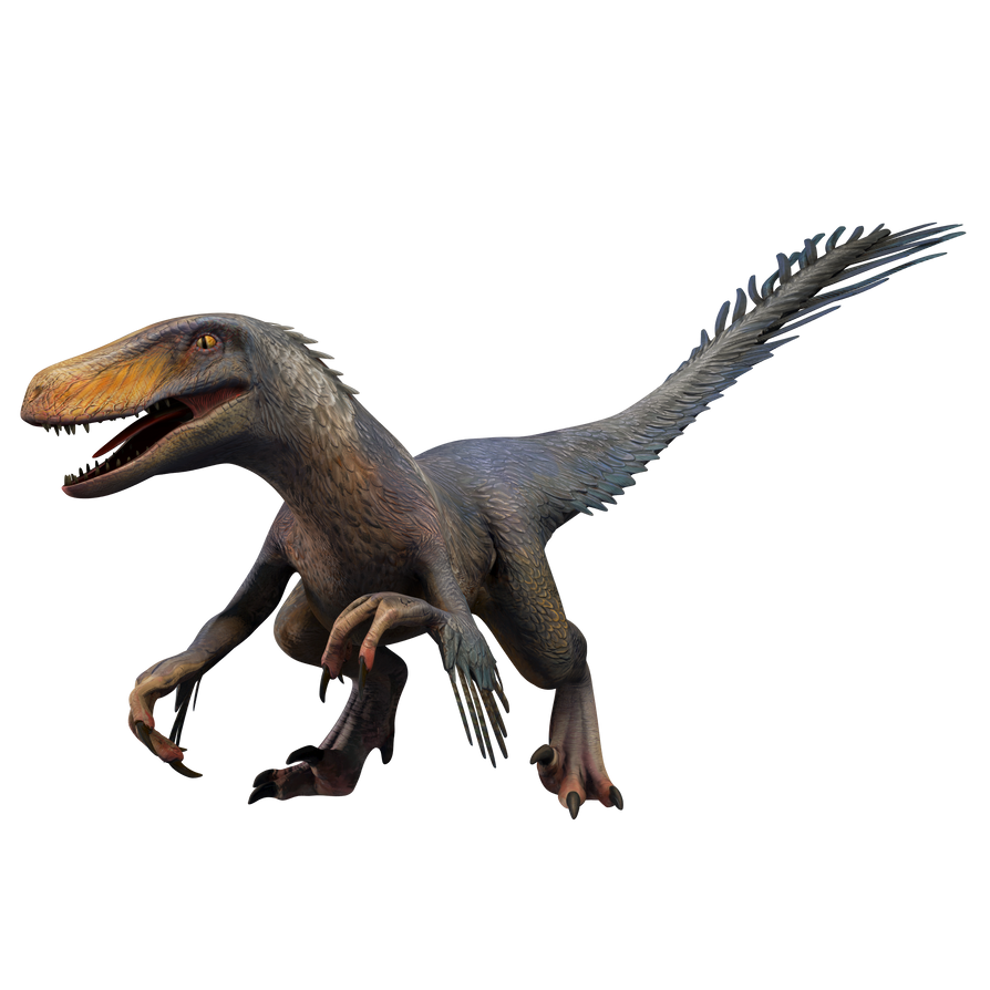 Utahraptor transparent by TransparentDinosaurs on DeviantArt
