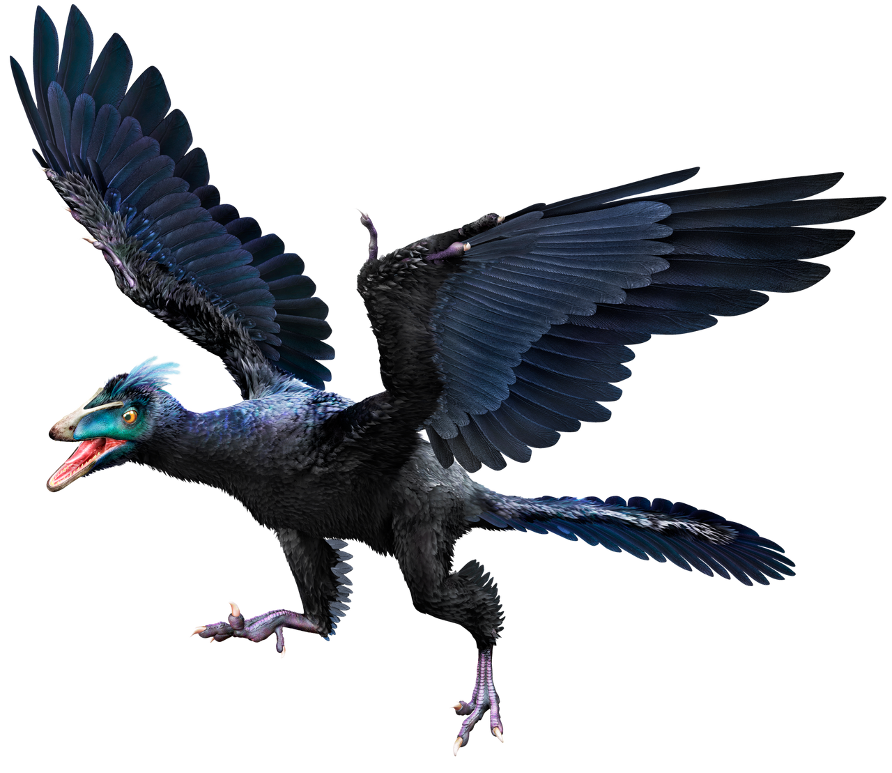 Transparent microraptor by TransparentDinosaurs on DeviantArt