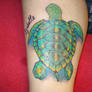 Sea Turtle Cover Up