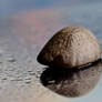A small pebble