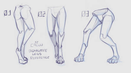 Digitigrade Legs Reference