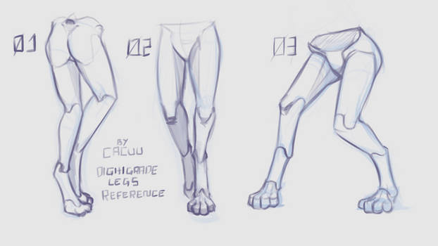 Digitrade Foot Explore the Best Digitigrade Art | DeviantArt