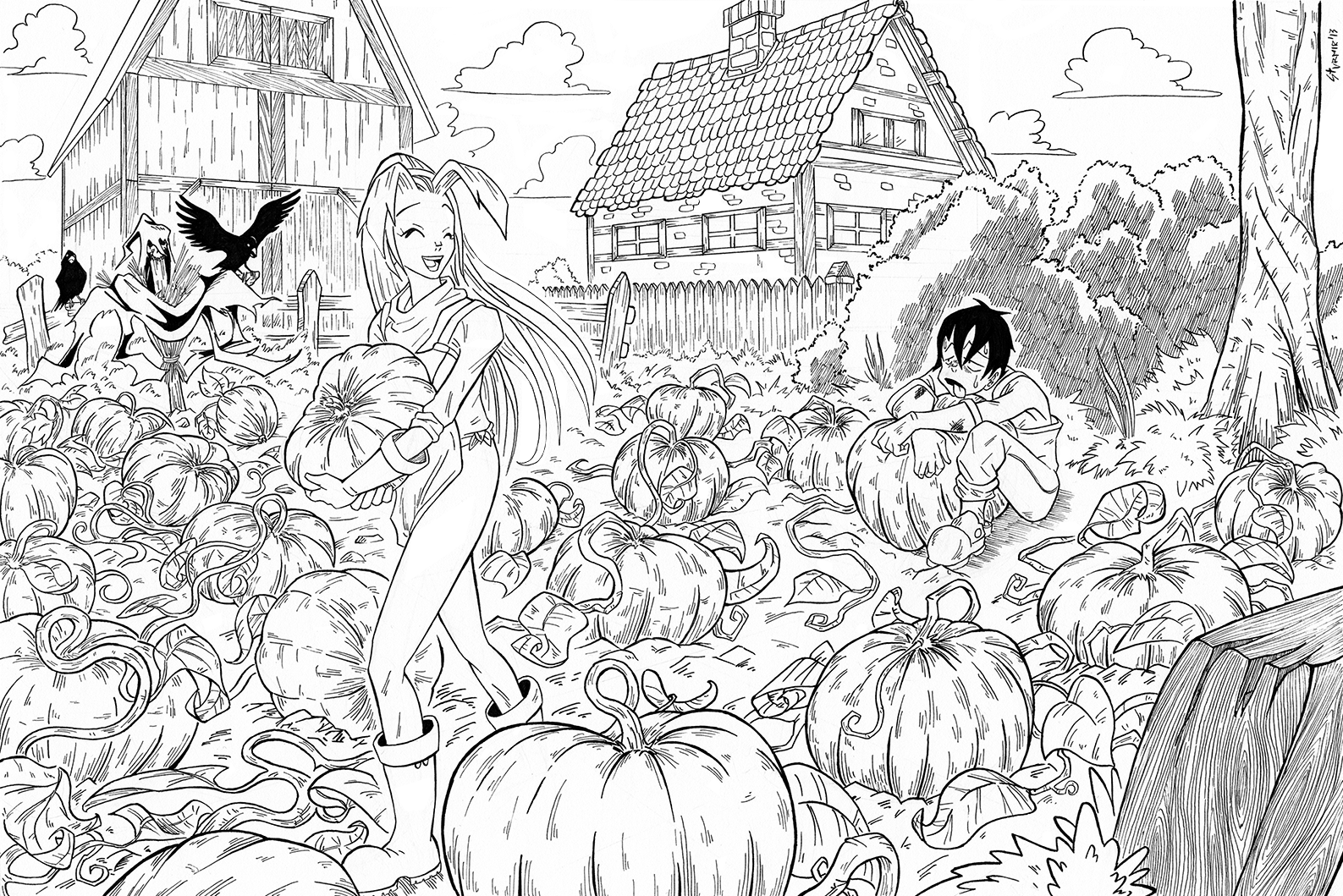 Pumpkin Field