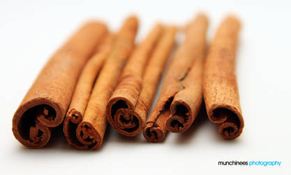 Spices: Cinnamon by munchinees