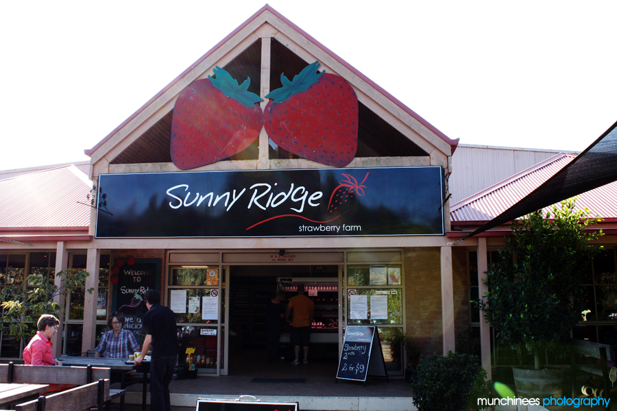 Sunny Ridge Strawberry Farm