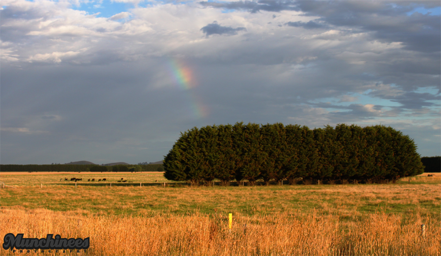 Camperdown 2