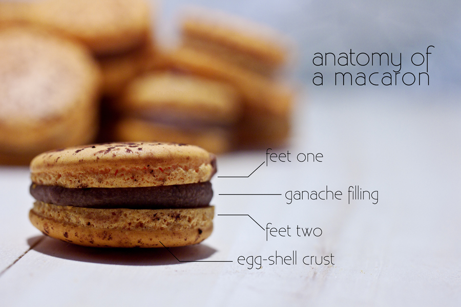 Anatomy of a macaron