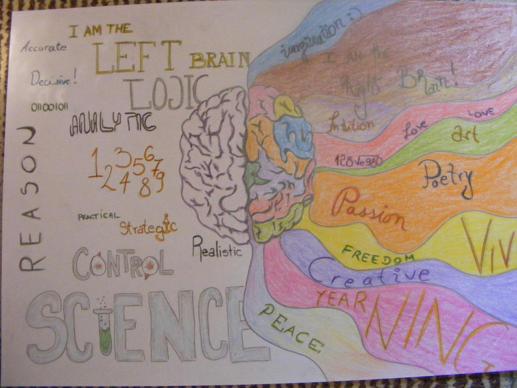 brain by DonVexo on DeviantArt