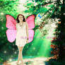 Fairy Miley