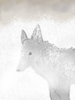 Wolf in a blizzard