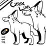 Canine Lines