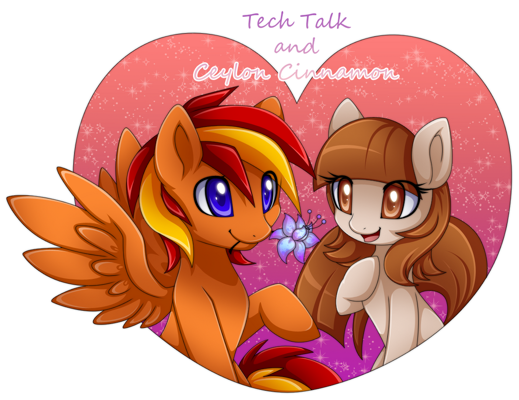 Comm: Tech Talk and Ceylon Cinnamon