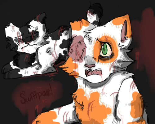 Swiftpaw,Im so sorry...