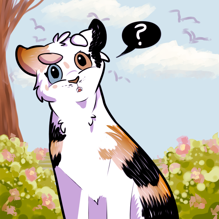 Ask Patchpaw