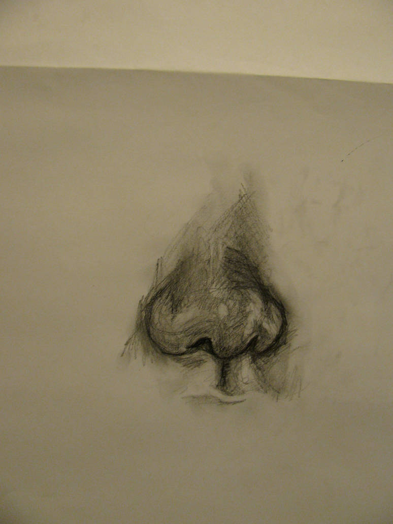 Nose Study