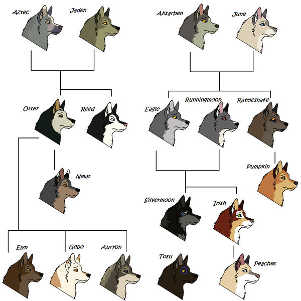 Otter Family Tree by toxic-infected on DeviantArt