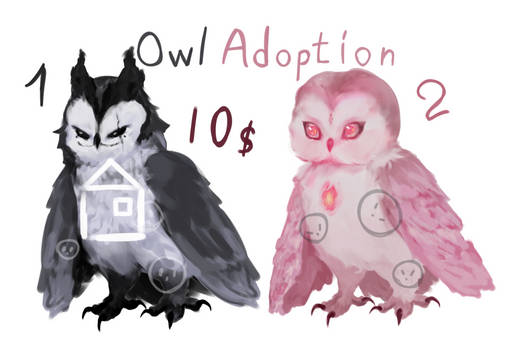 Adoption owl