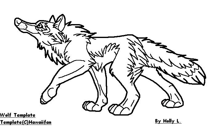 Wolf Template by Hawaiifan on DeviantArt