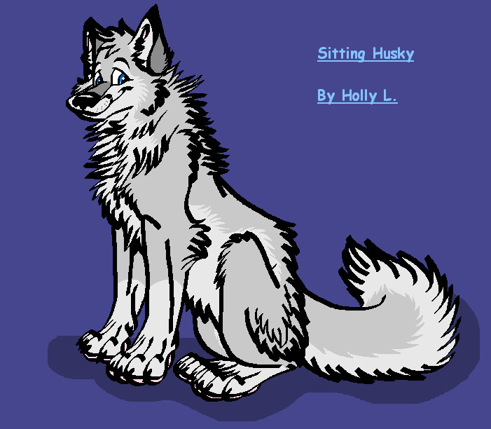 Sitting Husky