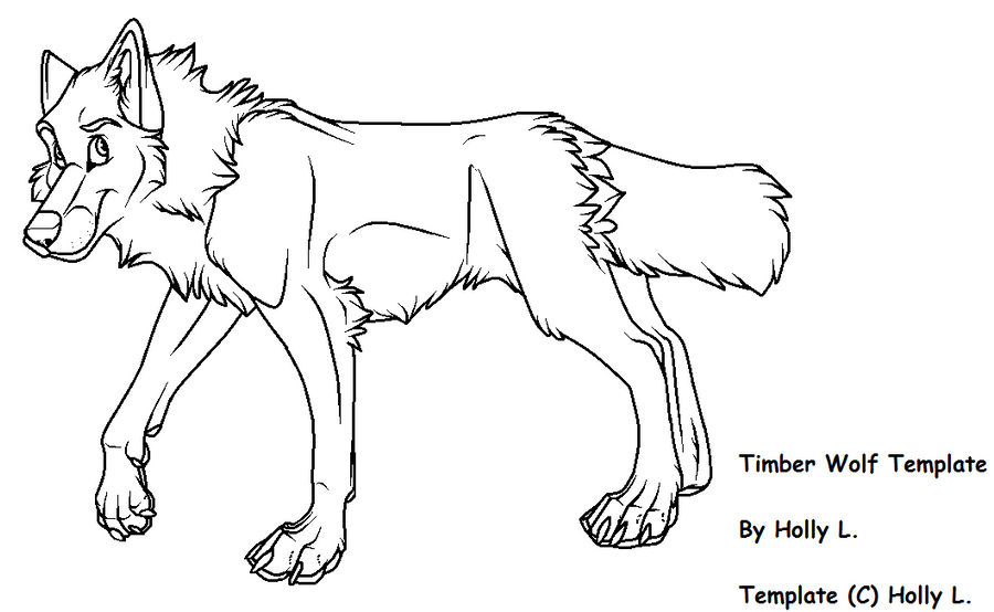 Timber Wolf Template by Hawaiifan on DeviantArt