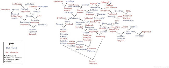 LATEST Warriors Family Tree