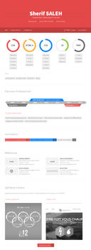 Web designer cv with HTML5 canvas