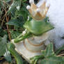 frog king lady in winter