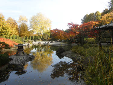 japanese garden bonn 9