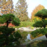 japanese garden Bonn 30