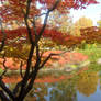 japanese garden autmn look