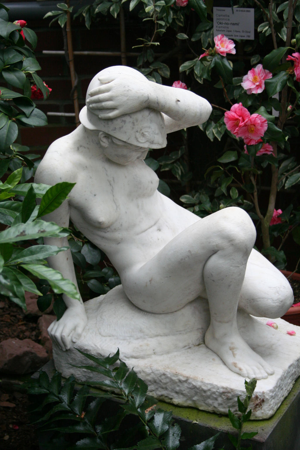 figure in camellia house 2