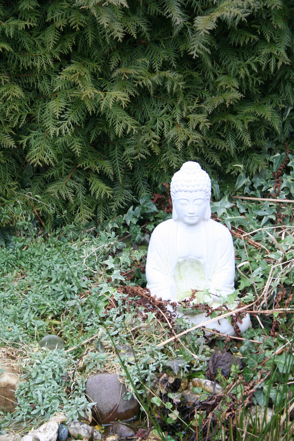 buddha in my garden