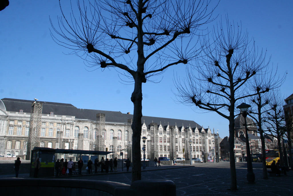 view in Liege 40