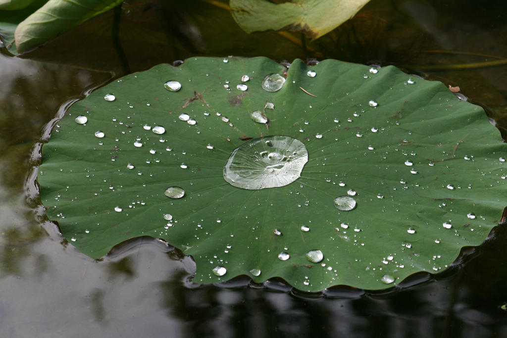 view at pond 19