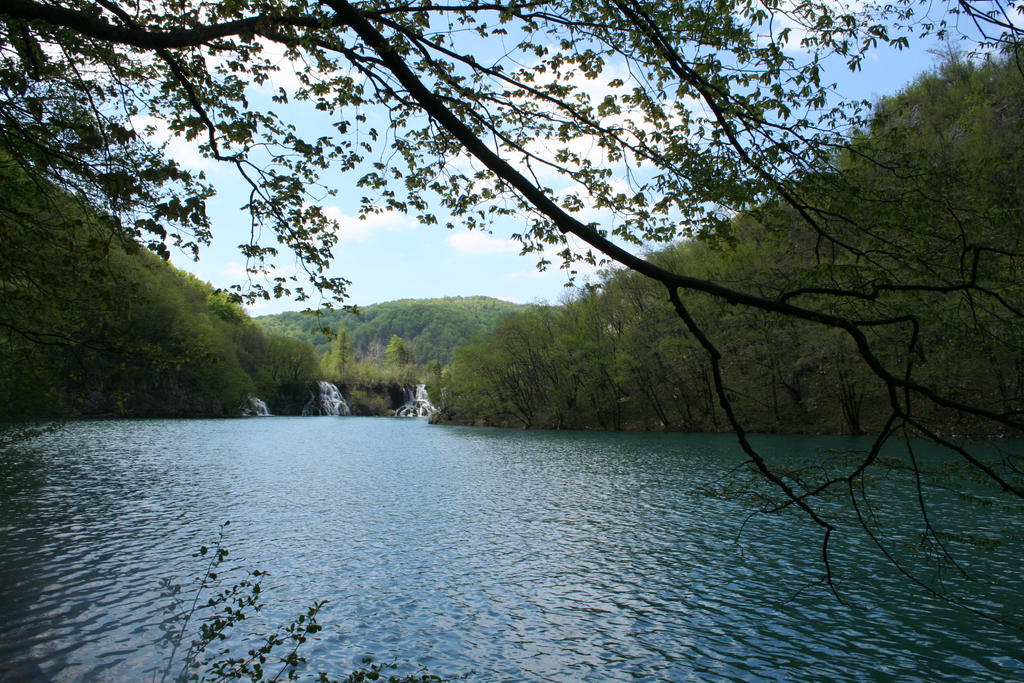 view in National park 82