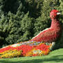 wonderful garden at Mainau