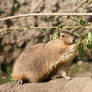 seen in Zoo Leipzig 3