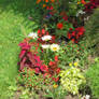 view to flowers in Flora garden