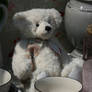 view to teddybear 2