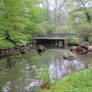 view in park in Muskau