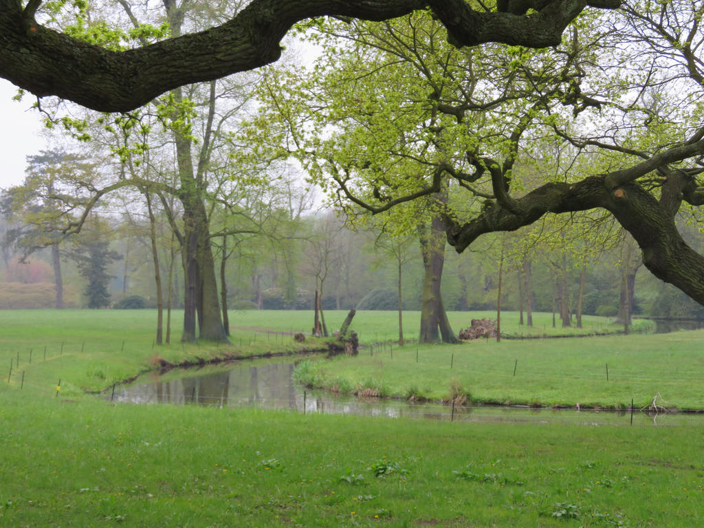 view in park in Muskau 14