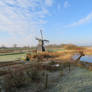 view with windmill