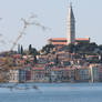 view to Rovinj 2