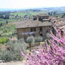 view in tuscany