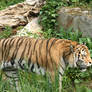 seen in Zoo Leipzig 19