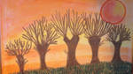 wilows in golden sunset by ingeline-art