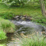 view in park at watermill