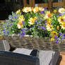 view to flower arrangement